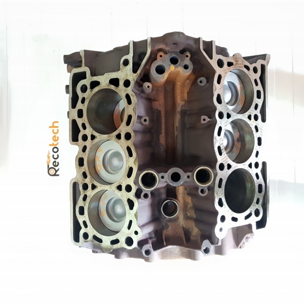 Reparatii motor LAND ROVER RANGE ROVER III (2002-)