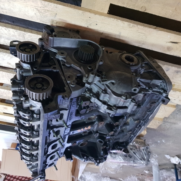 Reparatii motor RENAULT ESPACE IV (2002-)