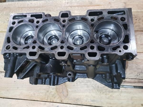 Reparatii motor RENAULT CLIO III (2005-)